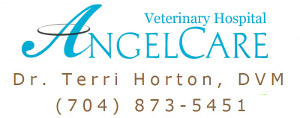 Angel Care
